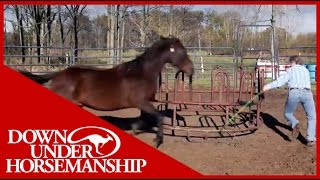 Clinton Anderson Presents Running Scared Training An Aggressive Horse [upl. by Pontus]