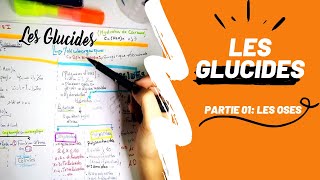 📣 Biochimie 1 Révision DES GLUCIDES PARTIE 01  Les Oses en détails👌 biologyUSTHBBIOCHIMIE [upl. by Elocn]