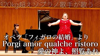 しおたん  フィガロの結婚「愛の神よ、照覧あれ」Porgi amor qualche ristoro ｜Le nozze di Figaro【やまぎん県民ホール】 [upl. by Isla939]