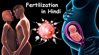 Fertilization  Pregnancy  Baby Delivery [upl. by Crean379]