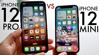 iPhone 12 Pro Vs iPhone 12 Mini Comparison Review [upl. by Karena]