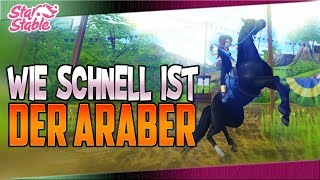 Star Stable Championat  Mein Stufe 1 Araber im Test • Moorland  SSO  Lets Play deutsch [upl. by Archibaldo]