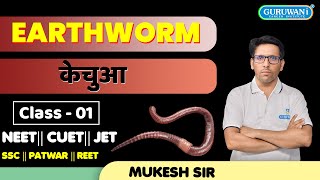 Morphology of an Earthworm  केंचुआ  Class 11th Structural Organization of Animals NEET JET2025 [upl. by Dnalyaw]