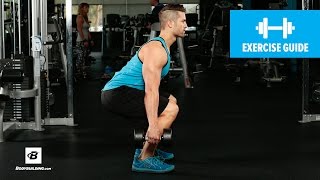 How to Dumbbell Squat  Mike Hildebrandt [upl. by Theall208]