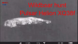 Part 1 Pulsar helion xq38fshooting wildboar [upl. by Obmar]