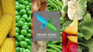 PROEX FOOD iNTELLIPRO SAW for Sweet Corn Processing Lines and Additional Uses  Introduction 2022 [upl. by Mauldon]