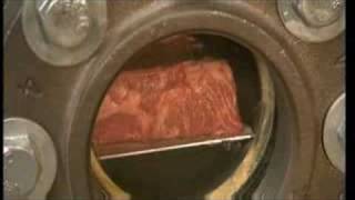 Mythbusters Uncut Gassy Meat [upl. by Demakis]