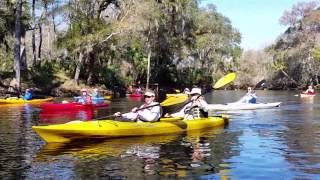 Kayaking  Steinhatchee River TDC Video [upl. by Mcevoy]