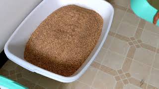 Luuup litter box tested with 3 kinds of cat litter [upl. by Aihcats]