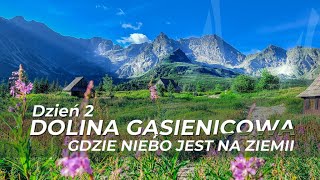 TATRY  Dolina Gąsienicowa  Gdzie niebo jest na ziemii  4K [upl. by Ahsinelg]