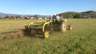 Rolling Rainedon Windrows with a John Deere 2010 and JD Sidedelivery Rake [upl. by Adnofal]