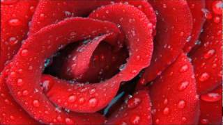 Sharon Forrester  Red Rose Radio Mixwmv [upl. by Whitehouse]