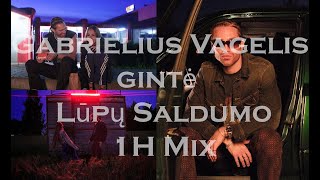 Gabrielius Vagelis Gintė  Lūpų Saldumo 1h mix [upl. by Babby]