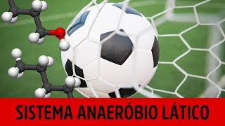 SISTEMA ANAERÓBIO LÁTICO  GLICOLÍTICO  ‹ Fisiologia com Gabriel Pito › [upl. by Aimerej]