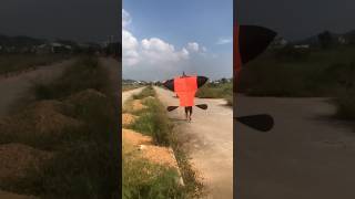 Thả diều sáo đại trà cõng giàn sáo gì đây các bạn vietnamkite kite xuhuong youtubeshorts [upl. by Beutler914]