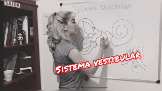 Sistema Vestibular  Resumo da anatomia fisiologia e função do Sistema Vestibular Periférico [upl. by Trotta]