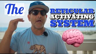 reticular activating system [upl. by Trout377]