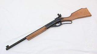 Worlds Most Accurate BB Gun  Daisy Avanti Champion 499 Air Rifle Review and Shooting [upl. by Eirhtug375]