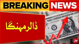 Dollar Price Increased  Open Market Rate Of USD  Breaking News [upl. by Sonahpets443]