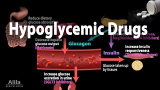 Pharmacology Oral Hypoglycemic Drugs Animation [upl. by Powers]