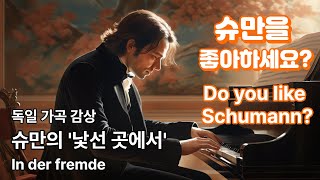 감성 터지는 독일 가곡 슈만의 In der fremde 낯선 곳에서 [upl. by Roach]