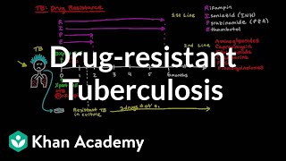 Drugresistant TB  Infectious diseases  NCLEXRN  Khan Academy [upl. by Eetsirk807]