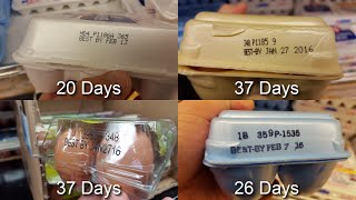 EXPOSED How OLD are Store Bought Eggs [upl. by Donnenfeld]