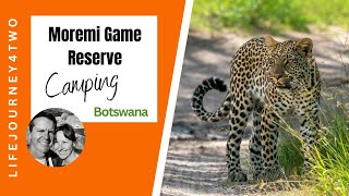 Exploring the Hidden Treasures of Moremi Game Reserve on a SelfDrive Safari Botswana [upl. by Lida]