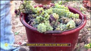 Crémant de Loire  dans la cour des grands   La Quotidienne la suite [upl. by Luamaj]