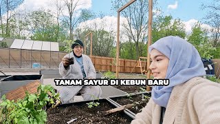 Tanam Sayur di Kebun Baru dengan Mak Di Belakang Rumah US [upl. by Yenatirb]