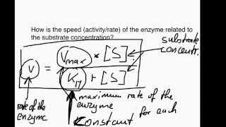 The Michaelis Menten equation [upl. by Anwahsad]