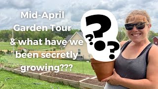 MidApril Garden Tour  WE’VE BEEN SECRETLY GROWING SOMETHING ELSE [upl. by Deadman343]