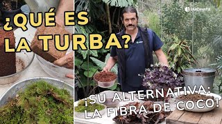 ¿Qué es la TURBA y en qué puede ayudar a mis plantas  Jardinatis [upl. by Ecirtra8]