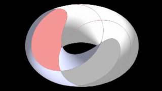 Torus Sections Villarceau circles and Lemniscate  Elastica [upl. by Duky]