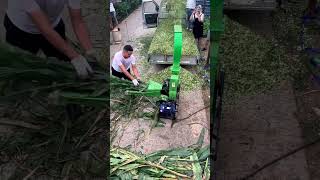 chaff cutter machine for feeding and bed [upl. by Feenah]