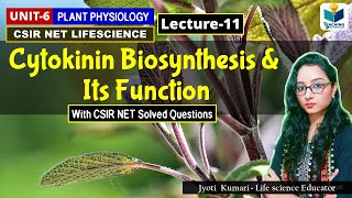 CYTOKININ BIOSYNTHESIS AND FUNCTIONS PHYTOHORMONE PART11 CSIR NETPLANT BIOLOGY [upl. by Farley]