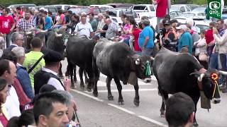 LA PASA DE CARMONA 2019  Onda Occidental Cantabria Radio y TV [upl. by Emmalynn517]