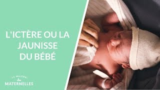 Lictère ou la jaunisse du bébé  La Maison des maternelles LMDM [upl. by Aneertak799]