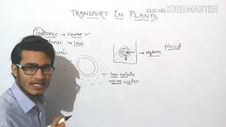 Plasmolysis explained in detail turgid  flaccid and plasmolysed cells [upl. by Enrobialc770]