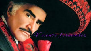 Vicente fernandez mix [upl. by Shanan800]