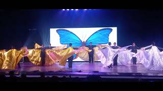 Wings butterfly dance performance  47th annual day [upl. by Elleon]