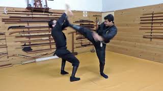 Taijutsu Bujinkan Dojo  Técnicas básicas de chutes [upl. by Domel]