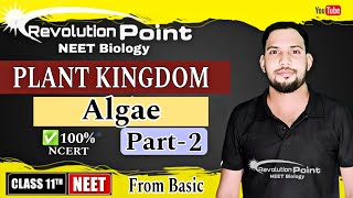 plant KingdomAlgaeclass 11part2 NEET 2025 neet2025 RevolutionPointpankaj [upl. by Ominorej]