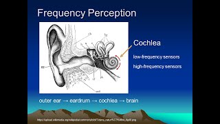 Prosody Tutorial Lecture 9 Perception [upl. by Halyahs]