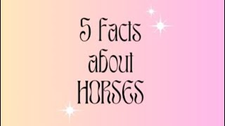 quot🐴📚 Horse Facts You Neighver Knew 🤣quot HorseFacts NeighKnowledge animalfacts [upl. by Nam]