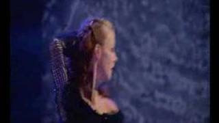 Riverdance  Live From New York City 1996 [upl. by Inoek]