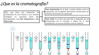 8 Principios de Cromatografía [upl. by Ellek907]