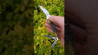 Case Seahorse whittler olive green bone fence row jig 6355WH usamade cutlery blade edc [upl. by Johna388]