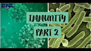 Immunity Part2  Innate and Acquired Immunity  Microbiology  in Hindi [upl. by Yrellam]