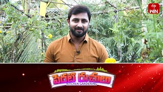 Perati Ruchulu  21st Sep 2023  Full Episode  ETV Abhiruchi [upl. by Champ]